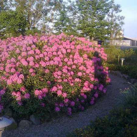Hotel Hotel Varde
