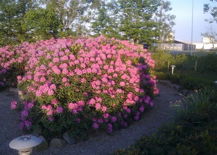 Отель Hotel Varde